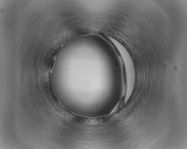 X0000088570613200706081059