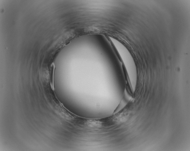 X0000088570617200706081059