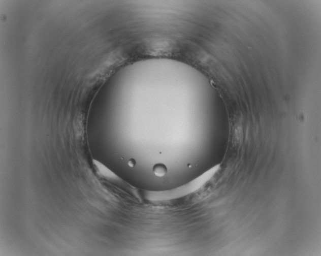 X0000088570620200706081059