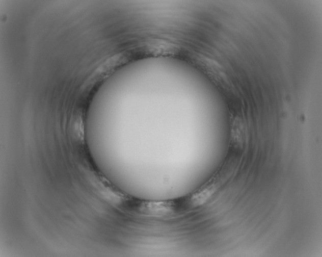X0000088570622200706081059