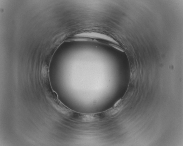 X0000088570623200706081059