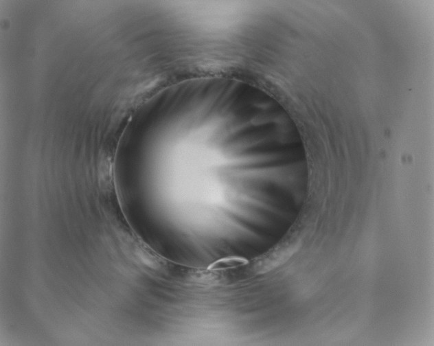 X0000088570624200706081059
