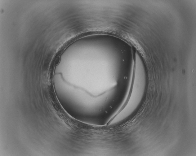 X0000088570628200706081059