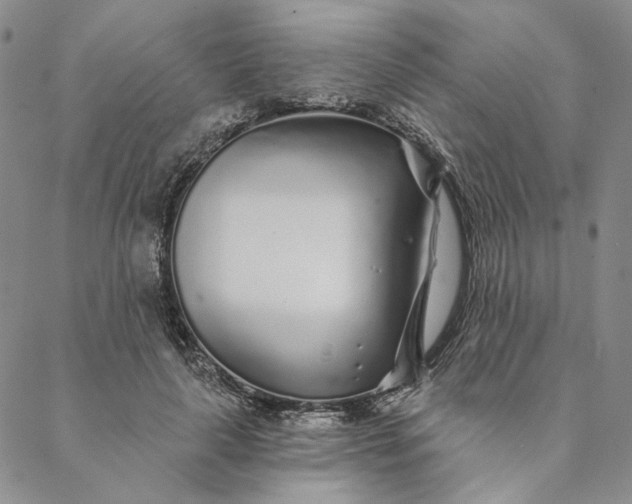 X0000088570643200706081059