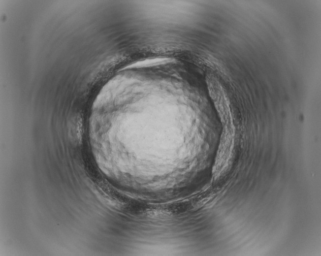 X0000088570644200706081059