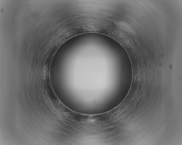 X0000088570647200706081059