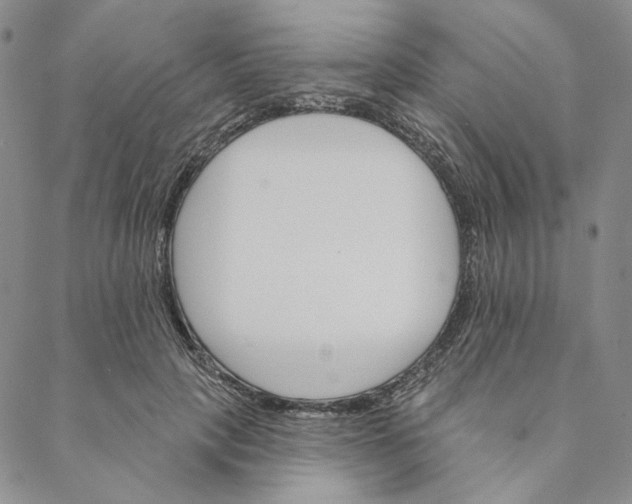 X0000088570649200706081059