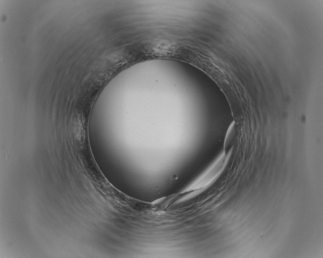 X0000088570651200706081059