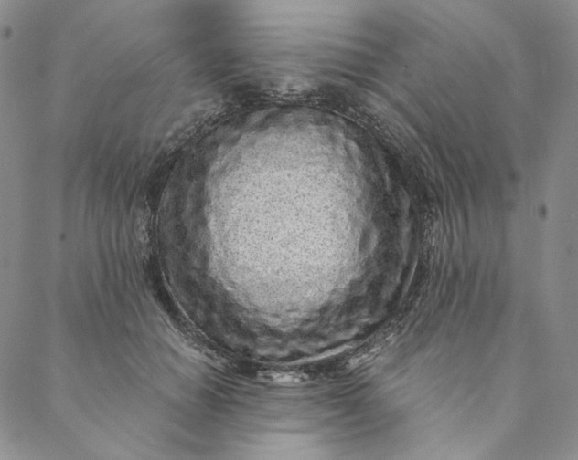 X0000088570654200706081059