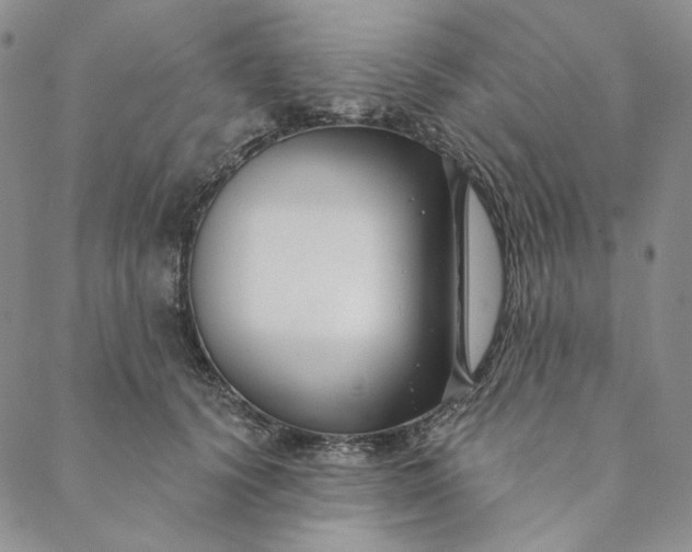 X0000088570656200706081059