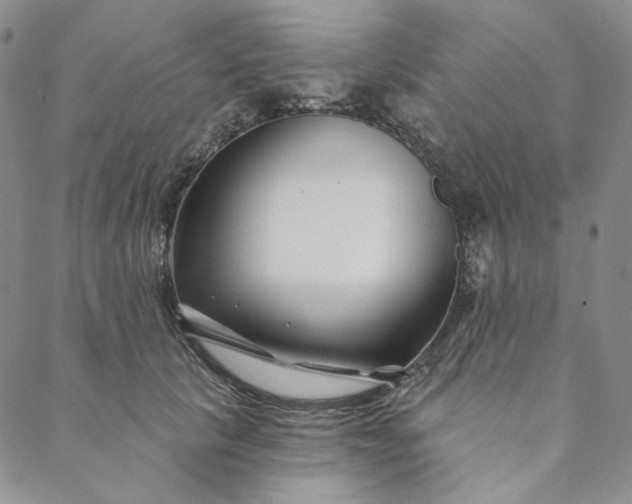 X0000088570657200706081059
