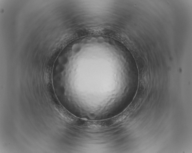 X0000088570658200706081059