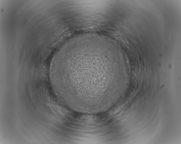 X0000088570659200706081059