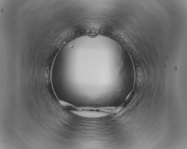 X0000088570661200706081059