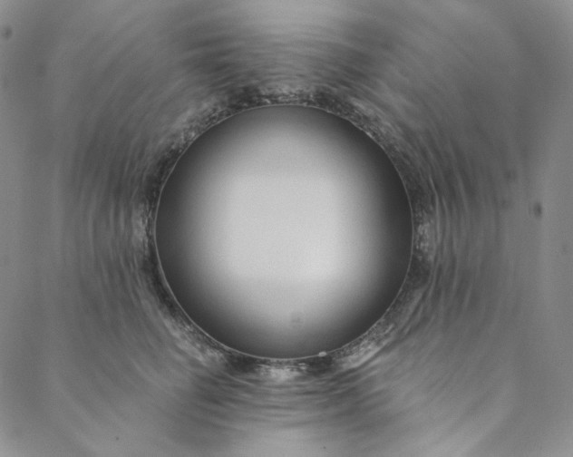 X0000088570662200706081059