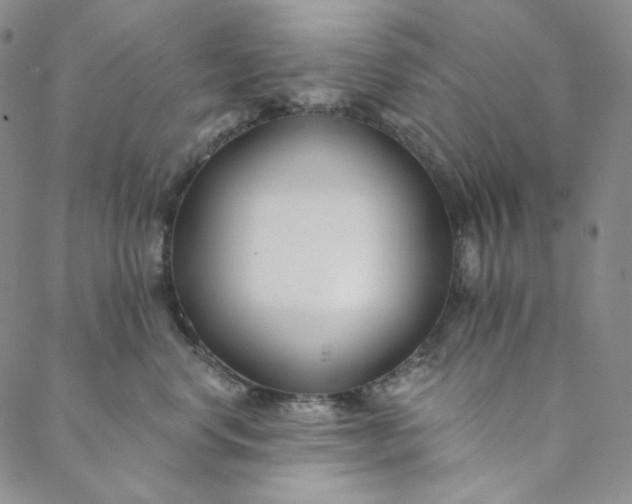 X0000088570668200706081059
