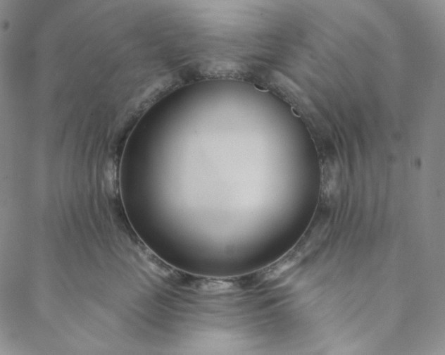 X0000088570669200706081059