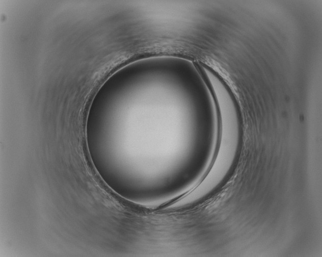 X0000088570673200706081058