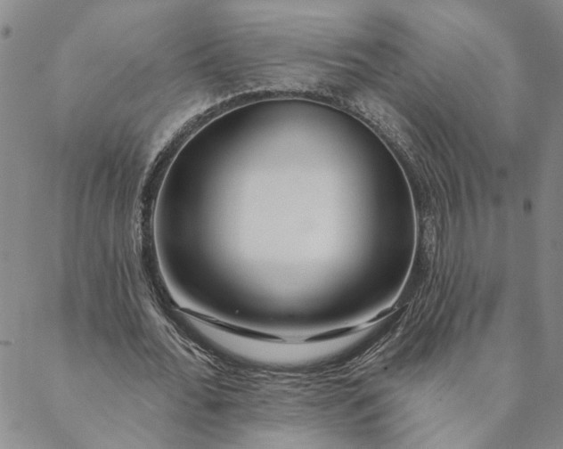 X0000088570676200706081058