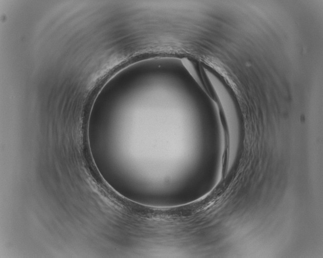 X0000088570677200706081058