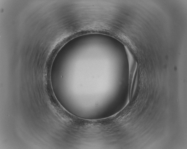 X0000088570680200706081058