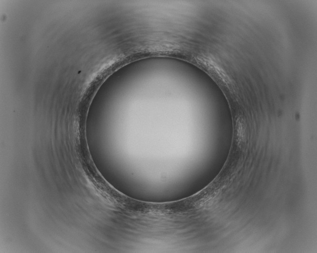 X0000088570684200706081058