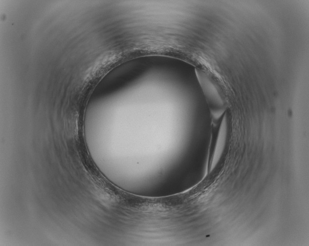 X0000088570685200706081058