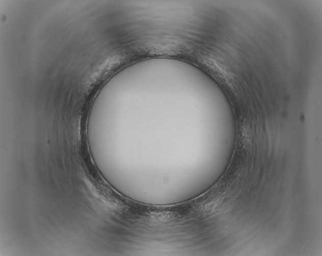 X0000088570686200706081058