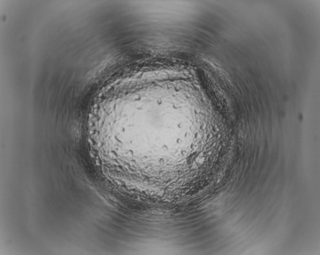 X0000088570691200706081058