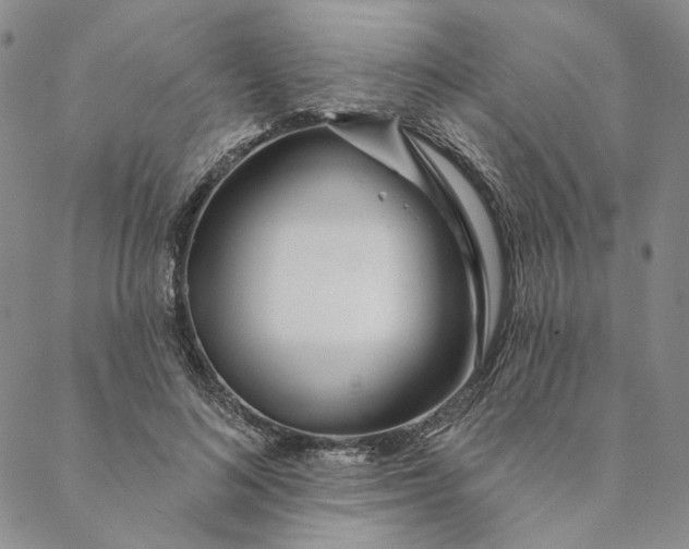 X0000088570692200706081058