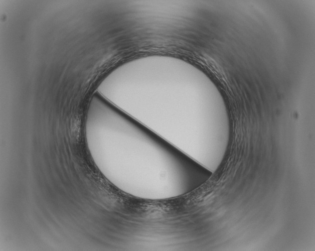 X0000088570697200706081058