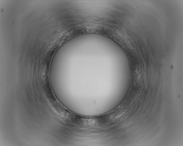 X0000088570698200706081058