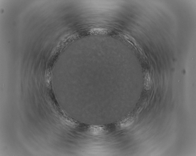 X0000088570701200706081058