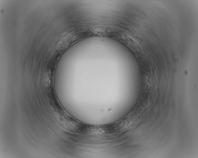 X0000088570702200706081058