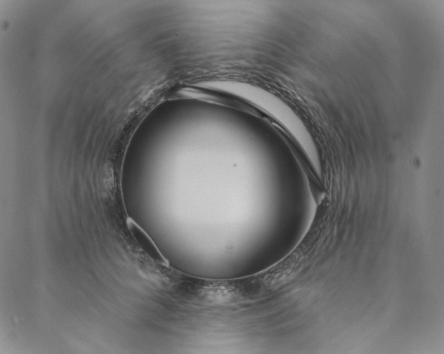 X0000088570704200706081058