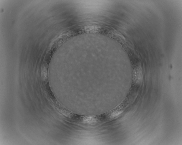 X0000088570705200706081058