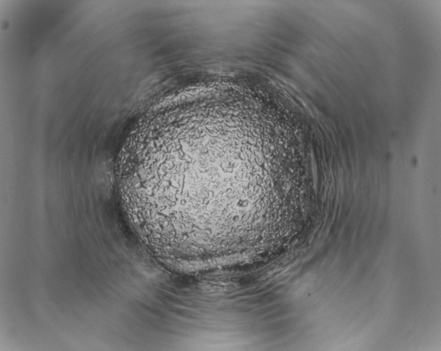 X0000088570707200706081058