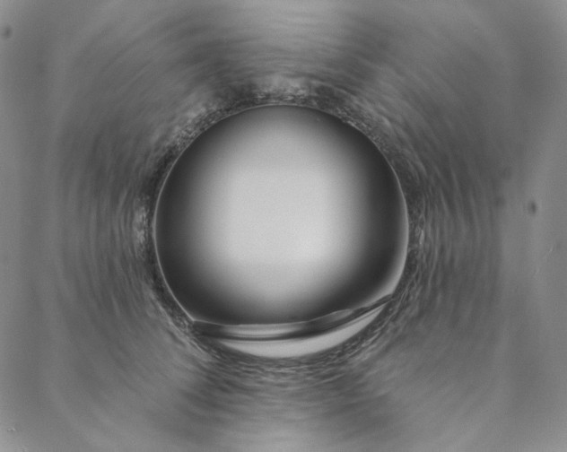X0000088570708200706081058