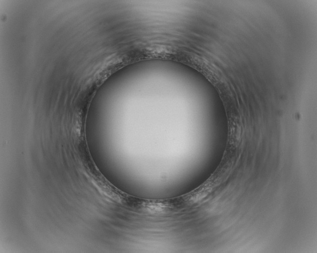 X0000088570710200706081058