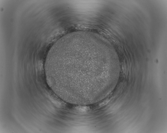 X0000088570711200706081058
