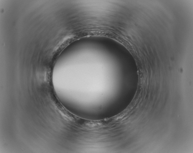 X0000088570712200706081058