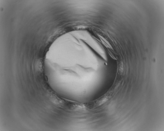 X0000088570715200706081058