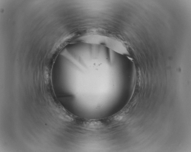 X0000088570716200706081058