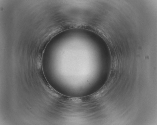 X0000088570719200706081058