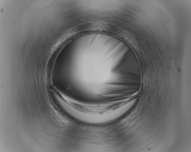 X0000088570722200706081057