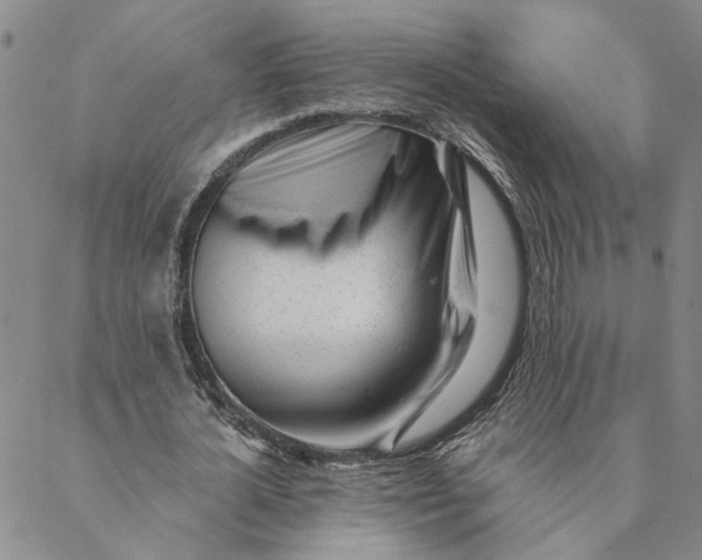 X0000088570724200706081057