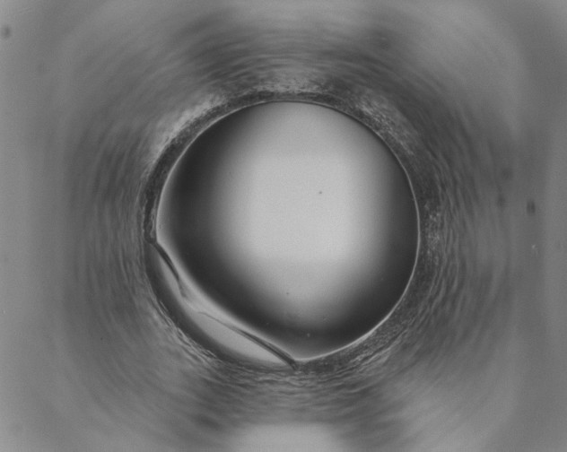 X0000088570727200706081057