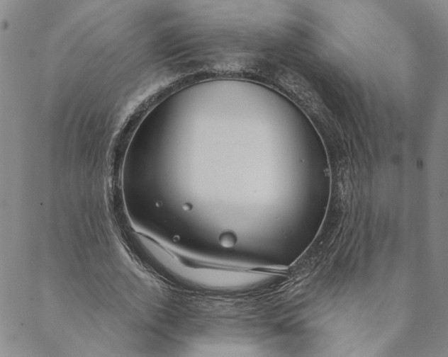 X0000088570728200706081057