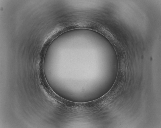 X0000088570730200706081057