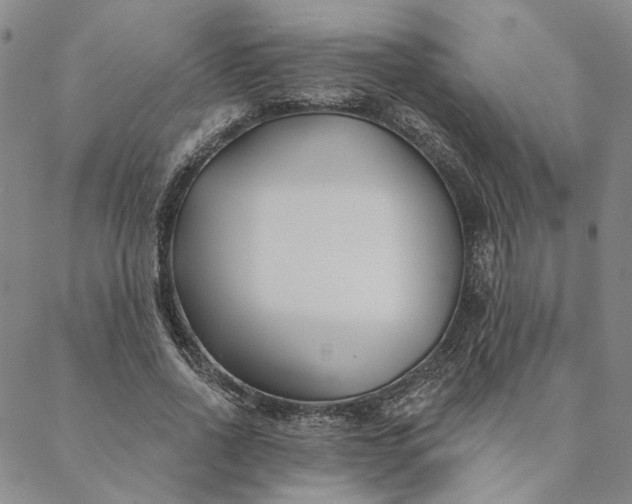 X0000088570734200706081057